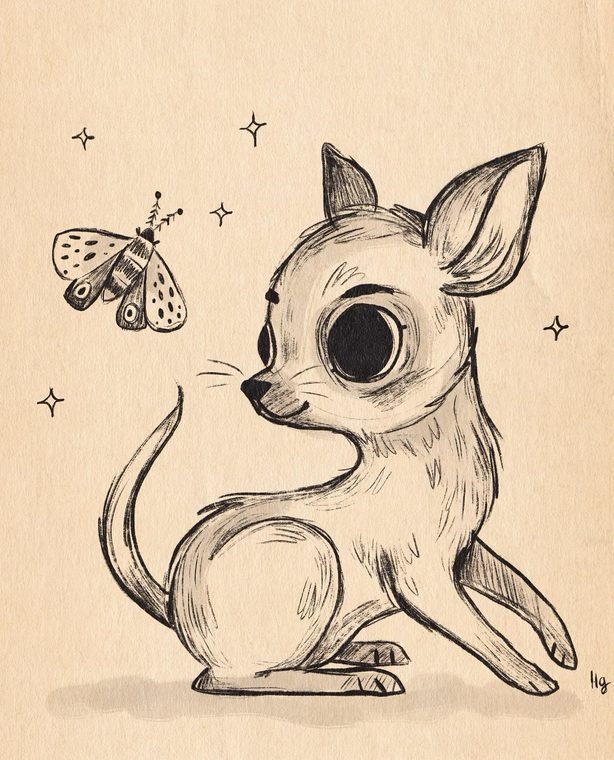Chihuahua watching a moth, pencil drawing by Helena Garcia
