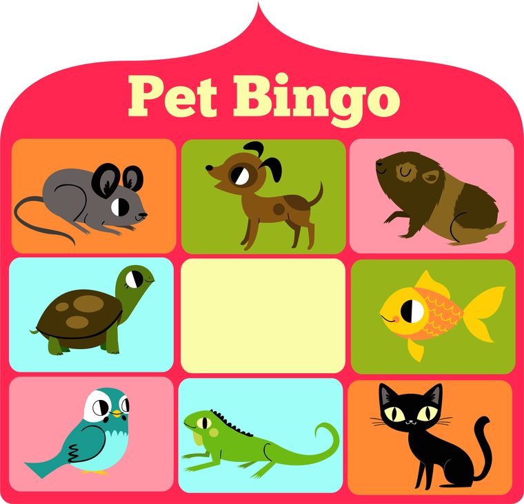 Pet Bingo board