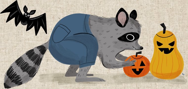 Raccoon and Pumpkins